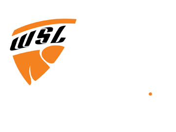 World Soccer Life logo